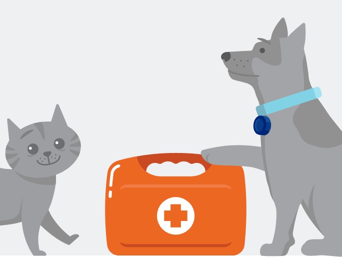 illustration of a cat and dog standing next to a first aid kit