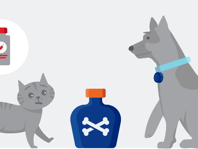 Illustration of a cat and a dog standing next to a bottle of poison