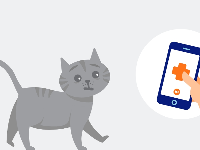 Illustration of a cat next to a phone with the banfield logo