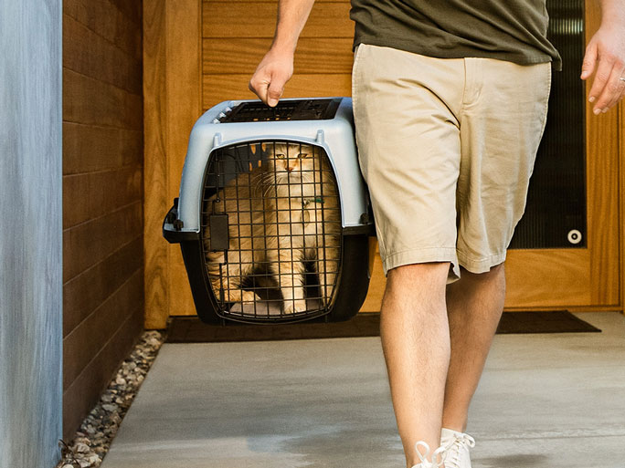 A man carrying a cat in a crate