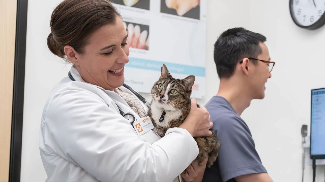 doctor holding cat
