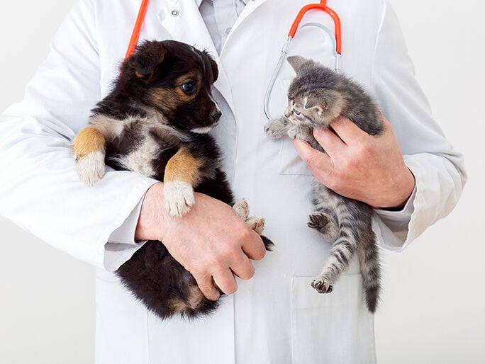 A doctor holding a puppy and kitten