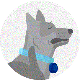 Illustration of a dog with fleas