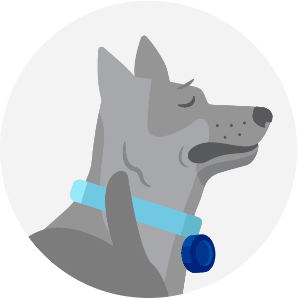 Vector graphic of a dog with fleas