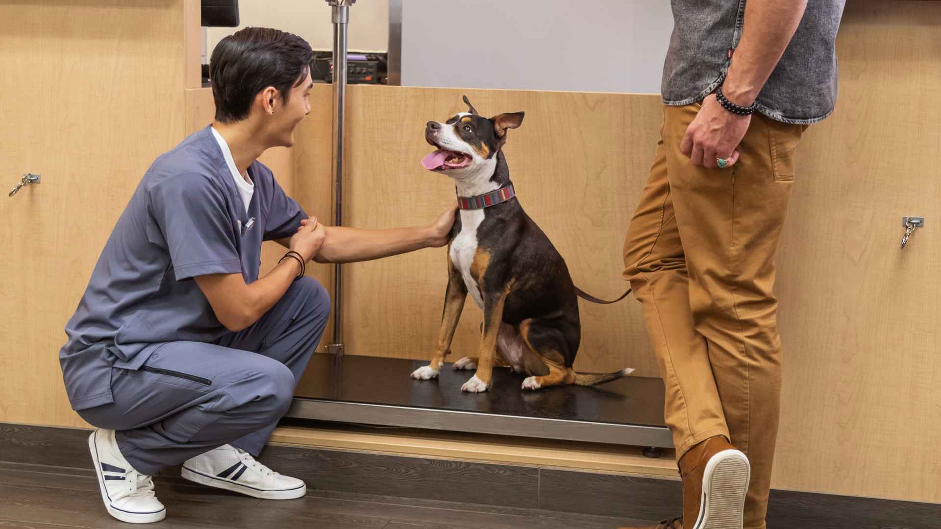 A young male veterinarian squatting and petting a dog while the owner of the dog stands next to him at the Banfield Pet Hospital