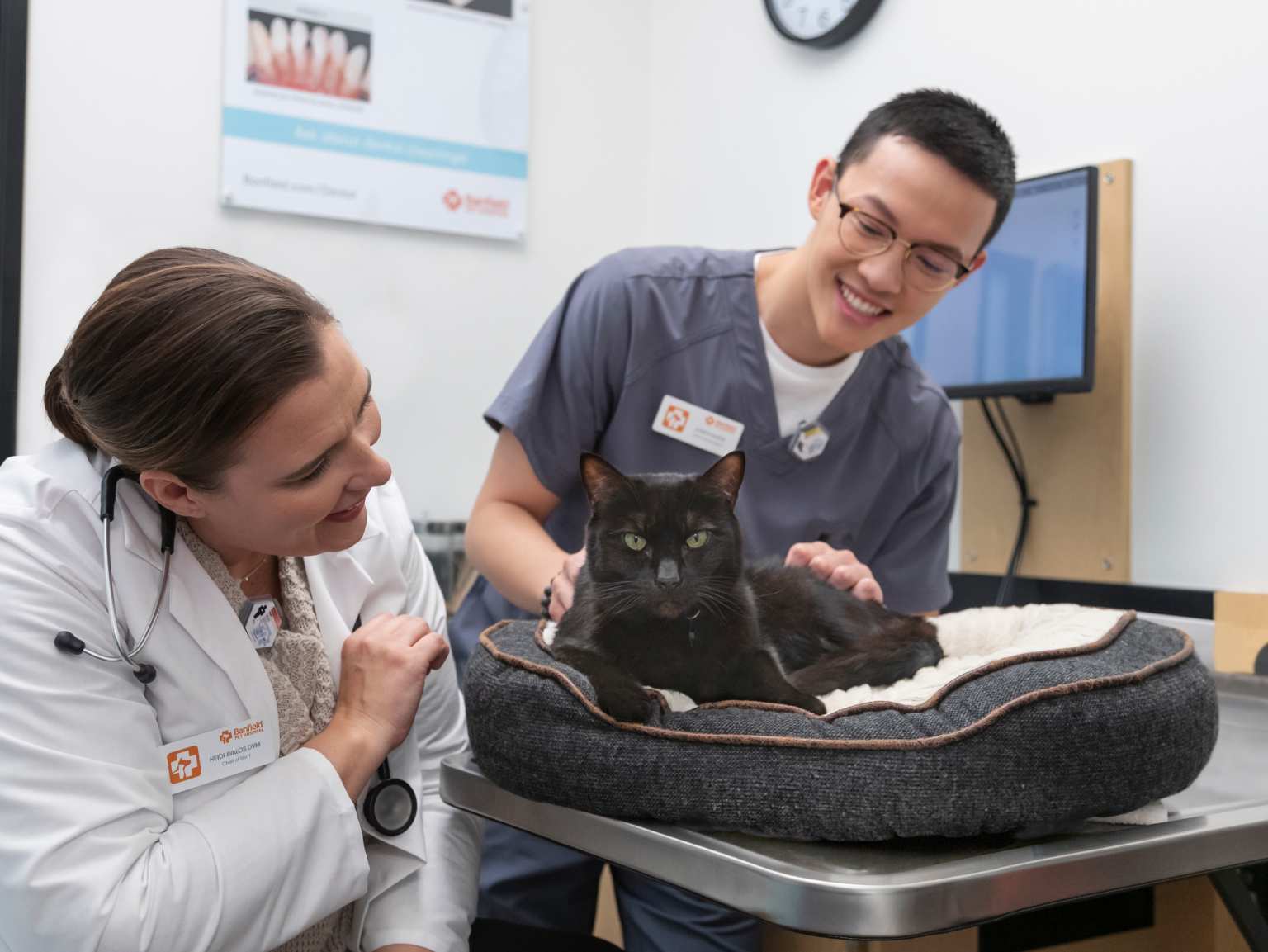 Two young veterinarians playfully examining a black cat at the Banfield Pet Hospital