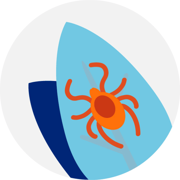 Vector graphic of a tick