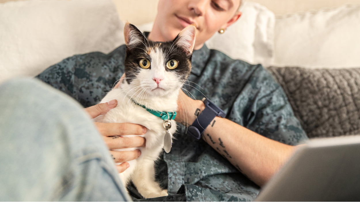 A close-up of a cat being held by its owner