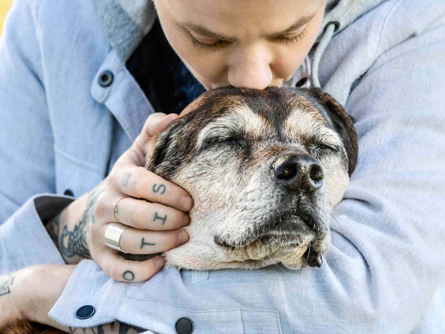 A young man kissing his senior dog, which is sleeping on his lap