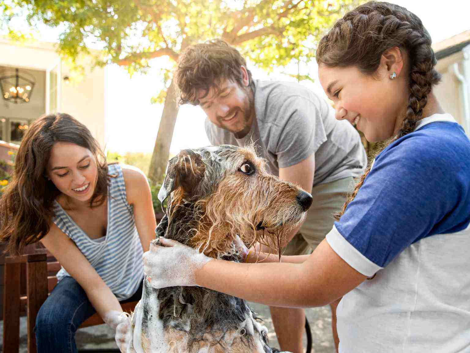 A family of three bathing their Terrier McFadden