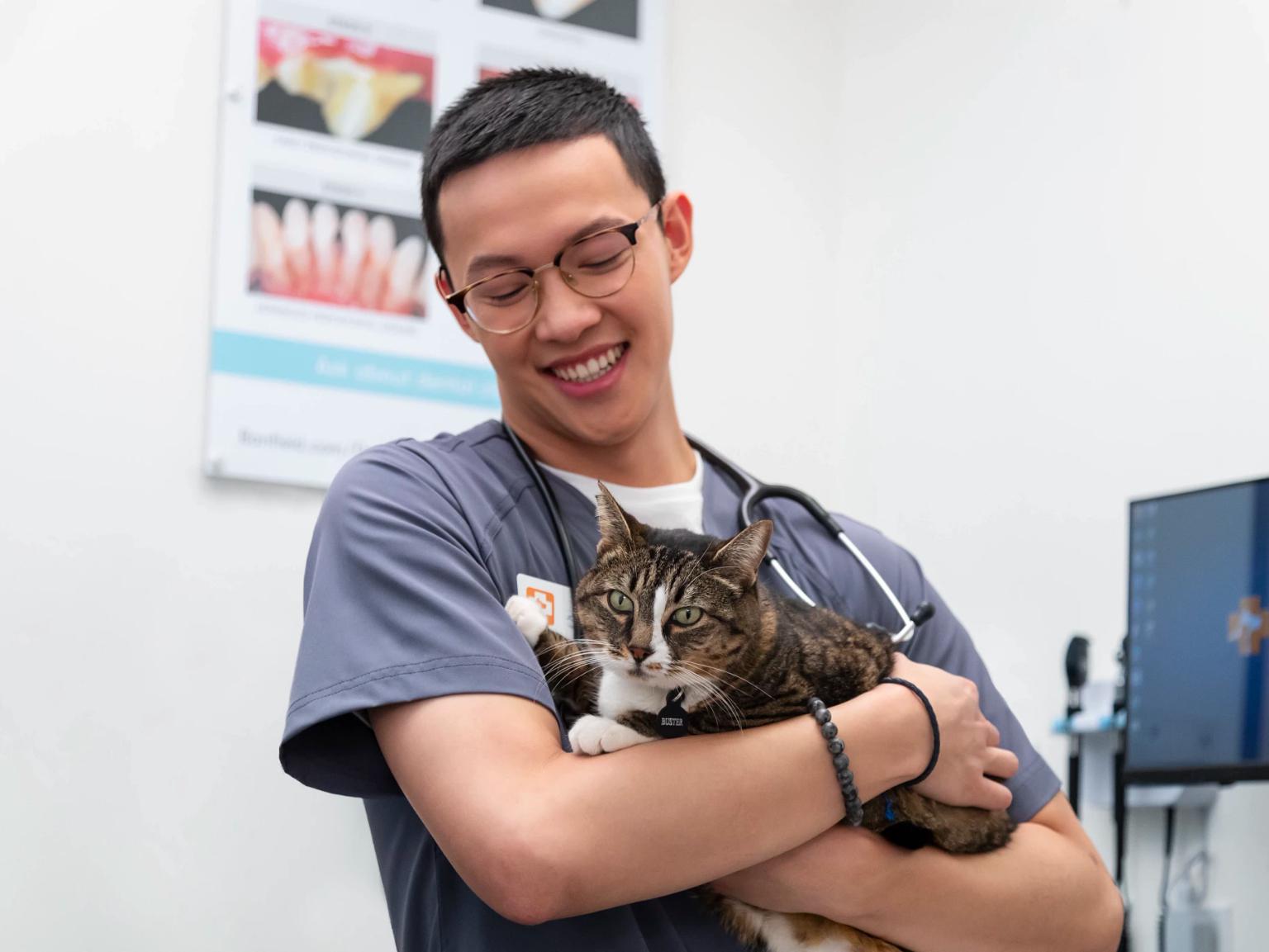 A young male veterinarian holding a cat at the Banfield Pet Hospital