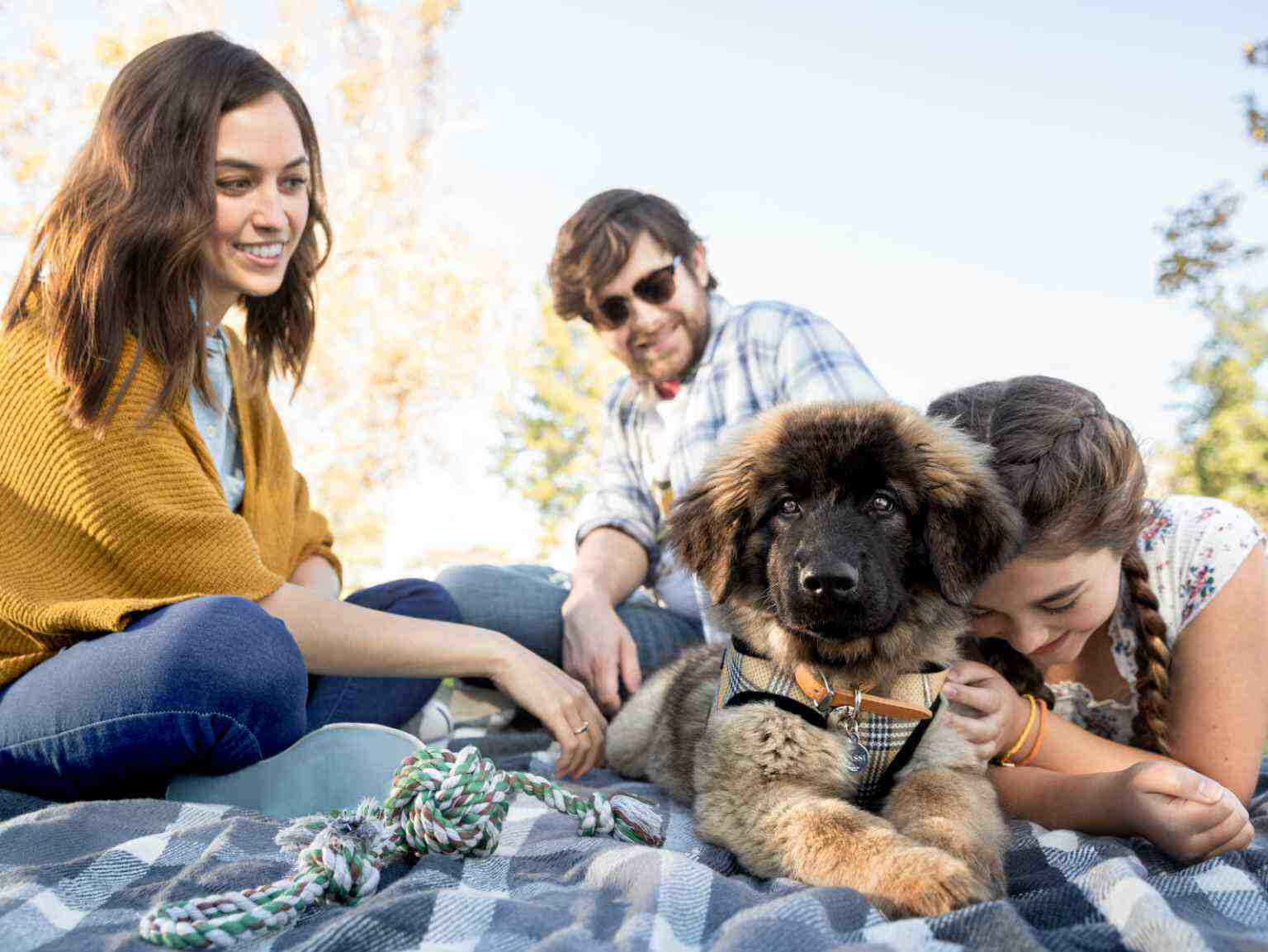 family play with puppy on picnic blanket