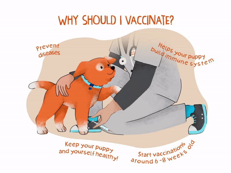Puppy Vaccines 