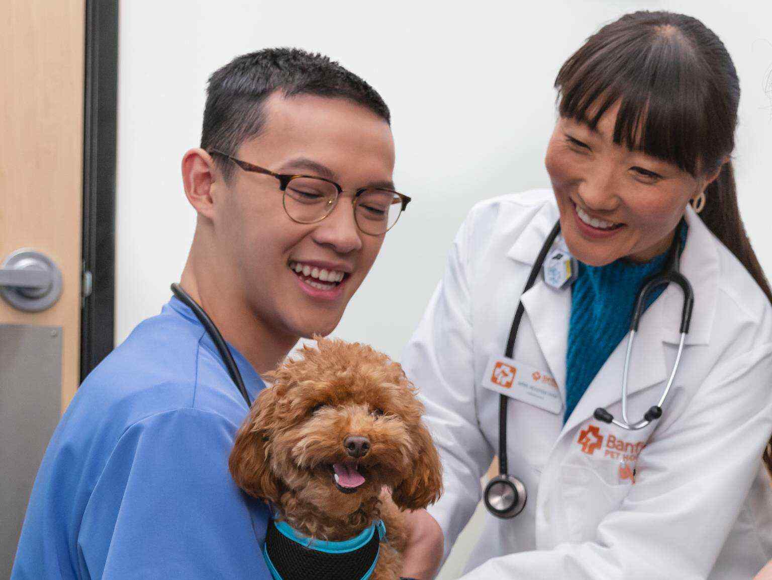 two-smiling-veterinarians-hold-puppy.
