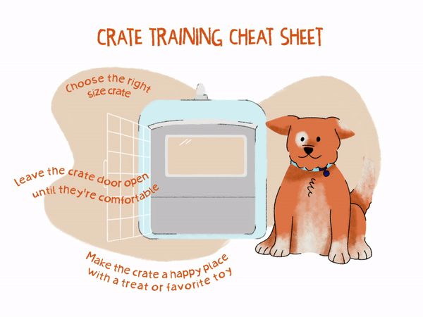 Vector graphic of crate training cheat sheet