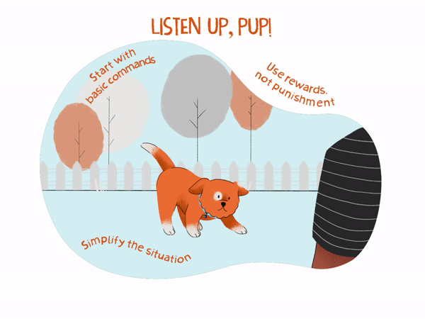 Vector graphic animation of a dog owner training his puppy