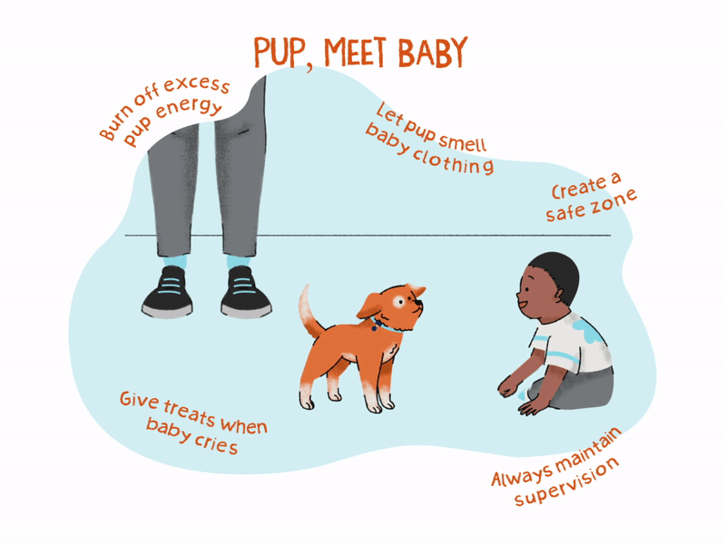 A cartoon puppy and a young child meet for the first time