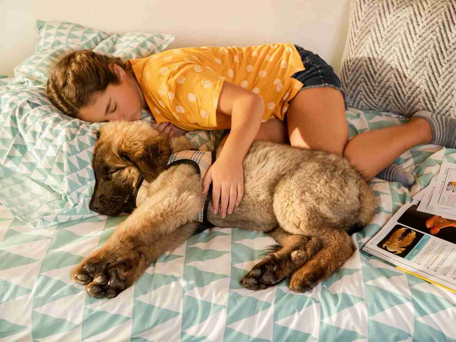 A young girl sleeping next to her puppy