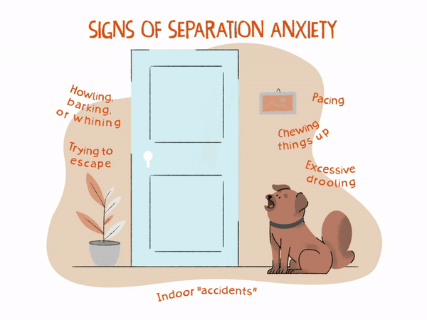 Dog separation 