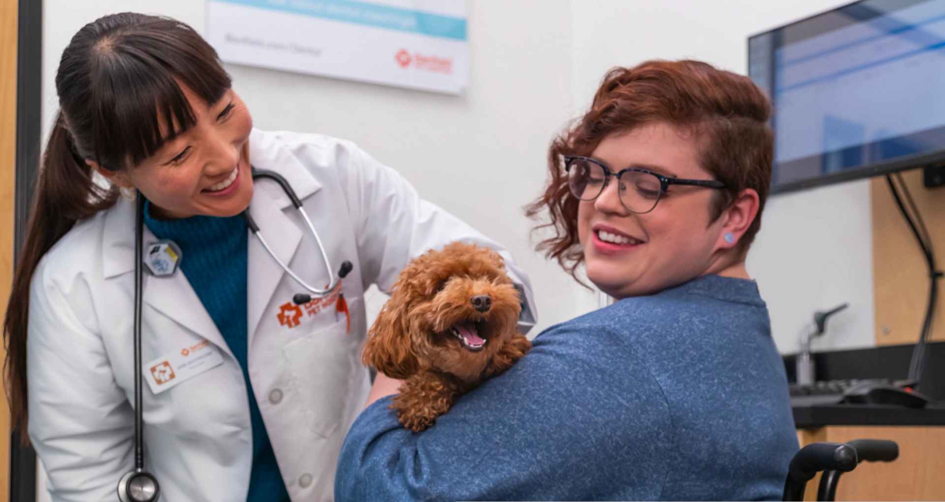 doctor checking happy dog in Hospital