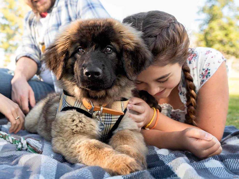 girl cuddles puppy picnic blanket