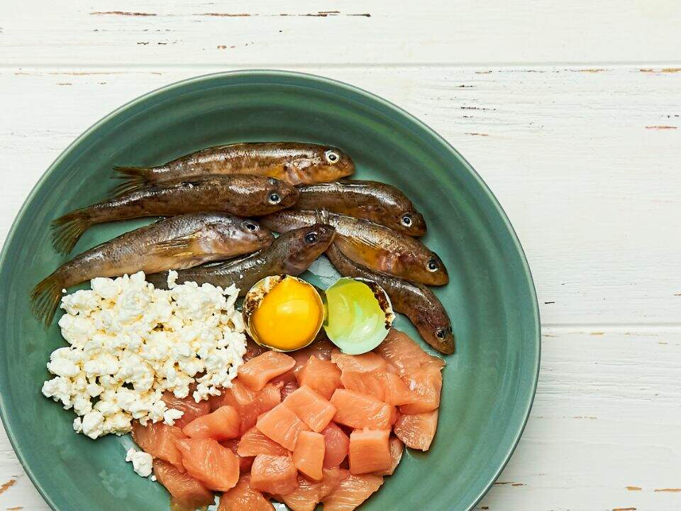green plate sardines popcorn salmon raw egg