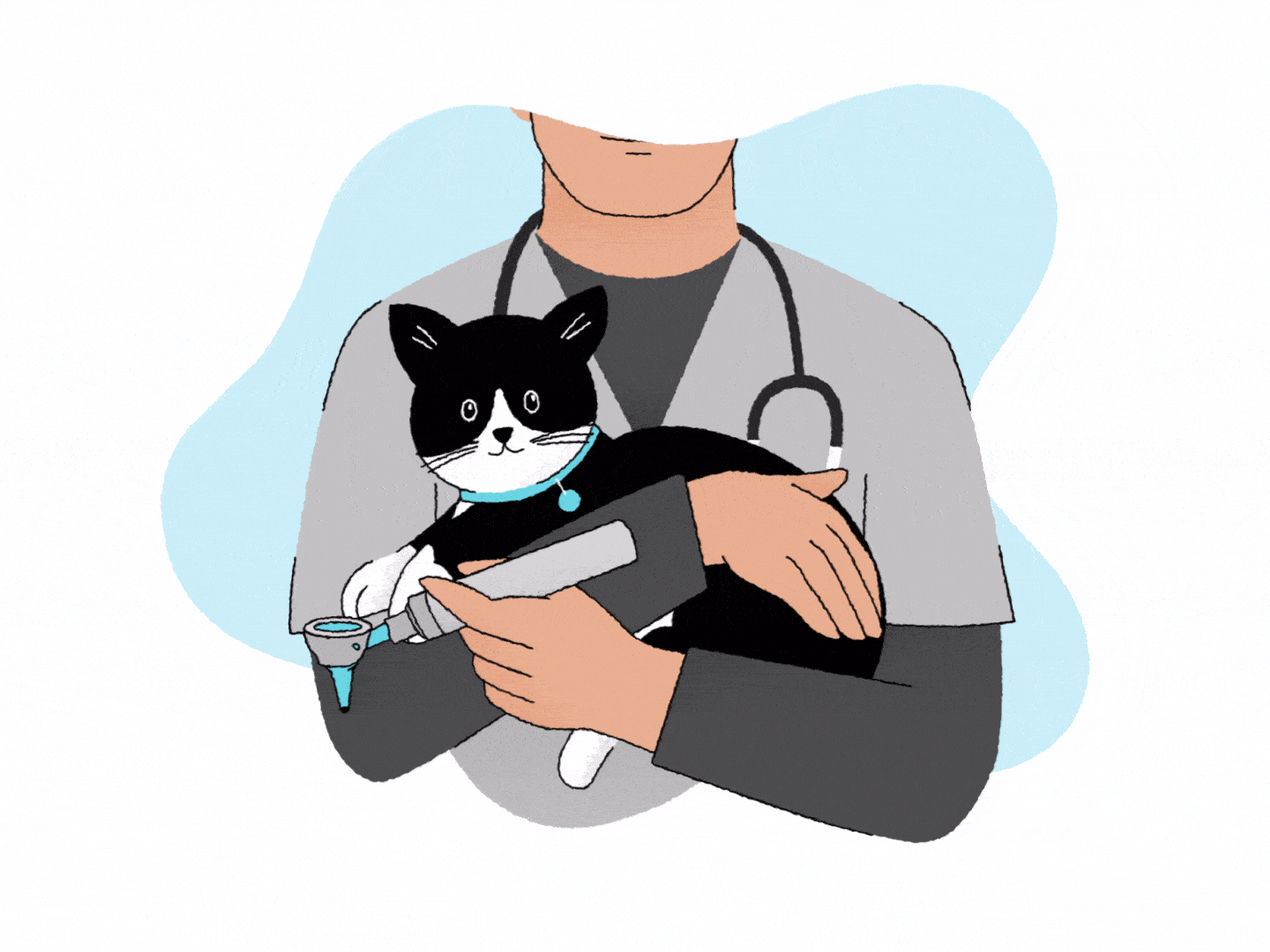 male veterinarian black cat thermometer illustration