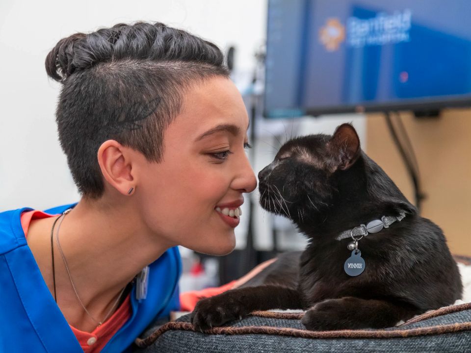 woman veterinarian black cat eskimo kiss