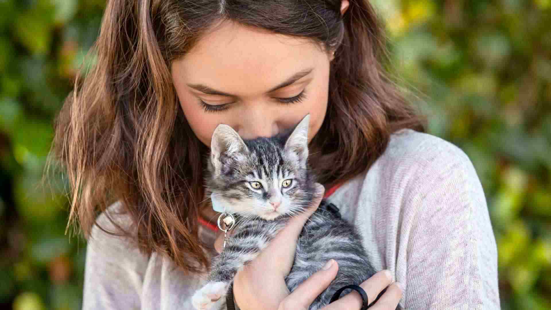 girl holds striped gray kitten