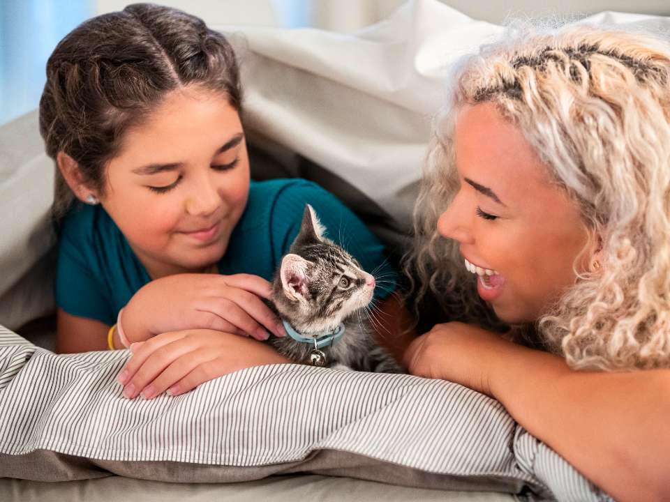 girls cuddle kitten under blanket