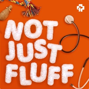 Not Just Fluff podcast cover art