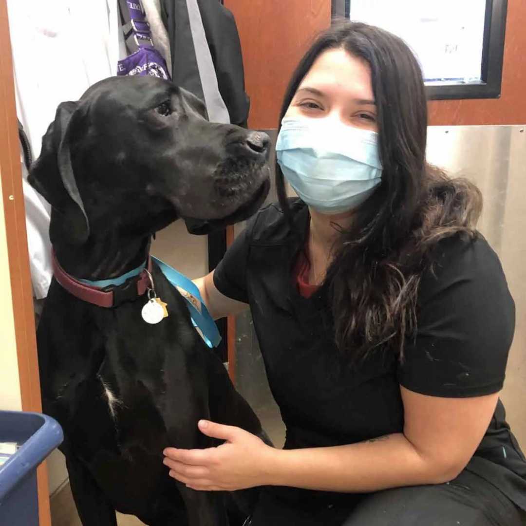 Profile picture of Katelynn Alvarado, Veterinary Assistant
