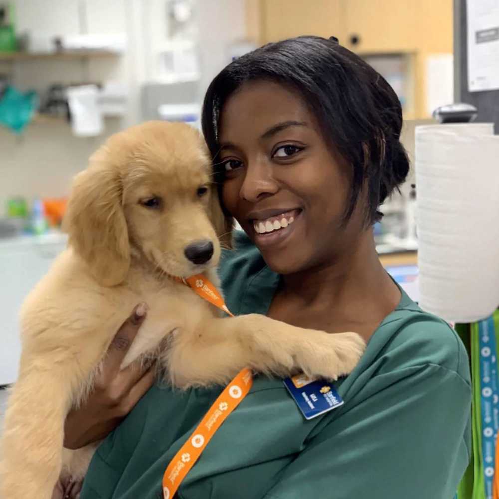 Veterinarians in Phoenix Biltmore Banfield Pet Hospital®