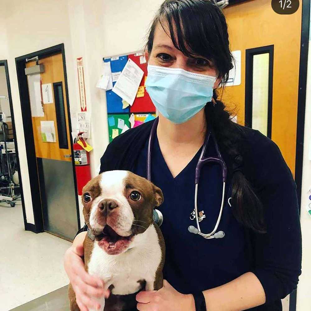 Dr. Caroline Davis Veterinarian