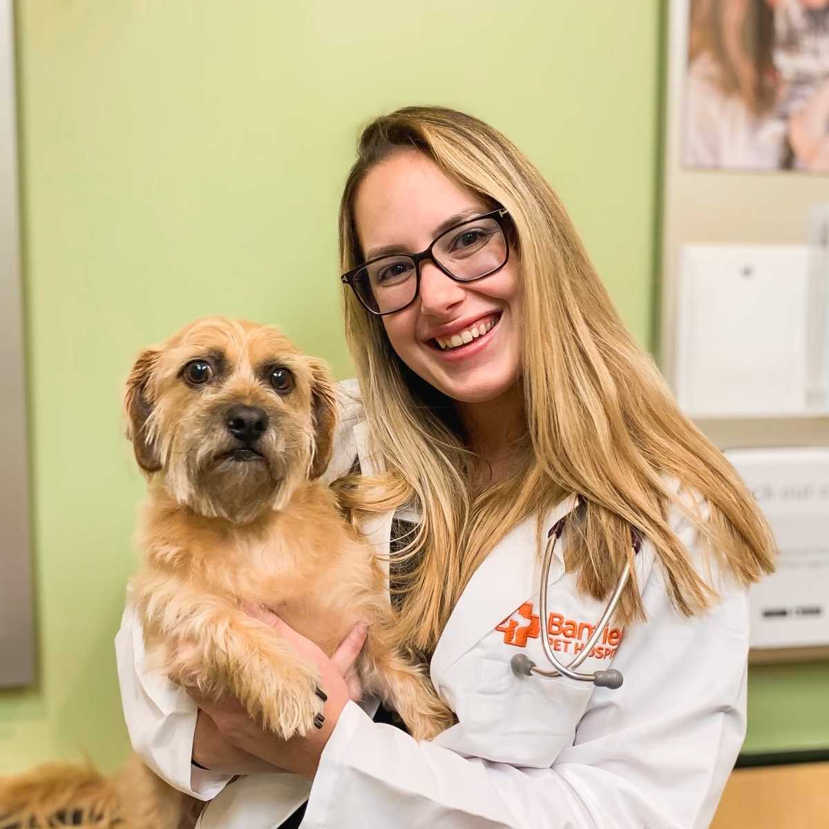 Profile picture of Sarah Davidson, DVM, Veterinarian