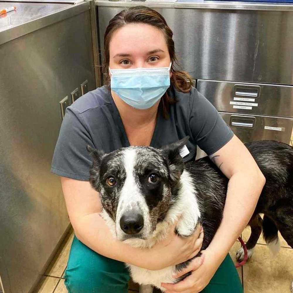 Profile picture of Madelyn Elliott, Veterinary Assistant