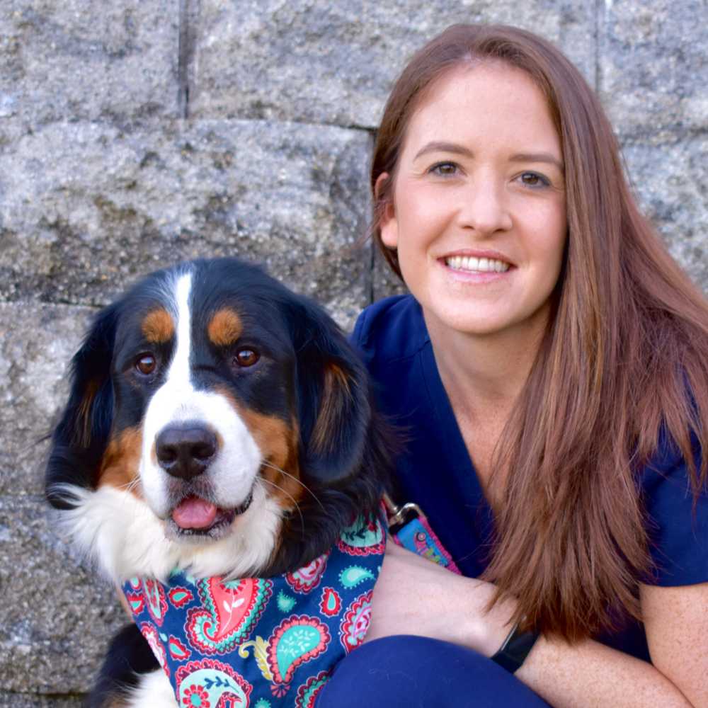 Profile picture of Jennifer Falkowski, DVM, Veterinarian