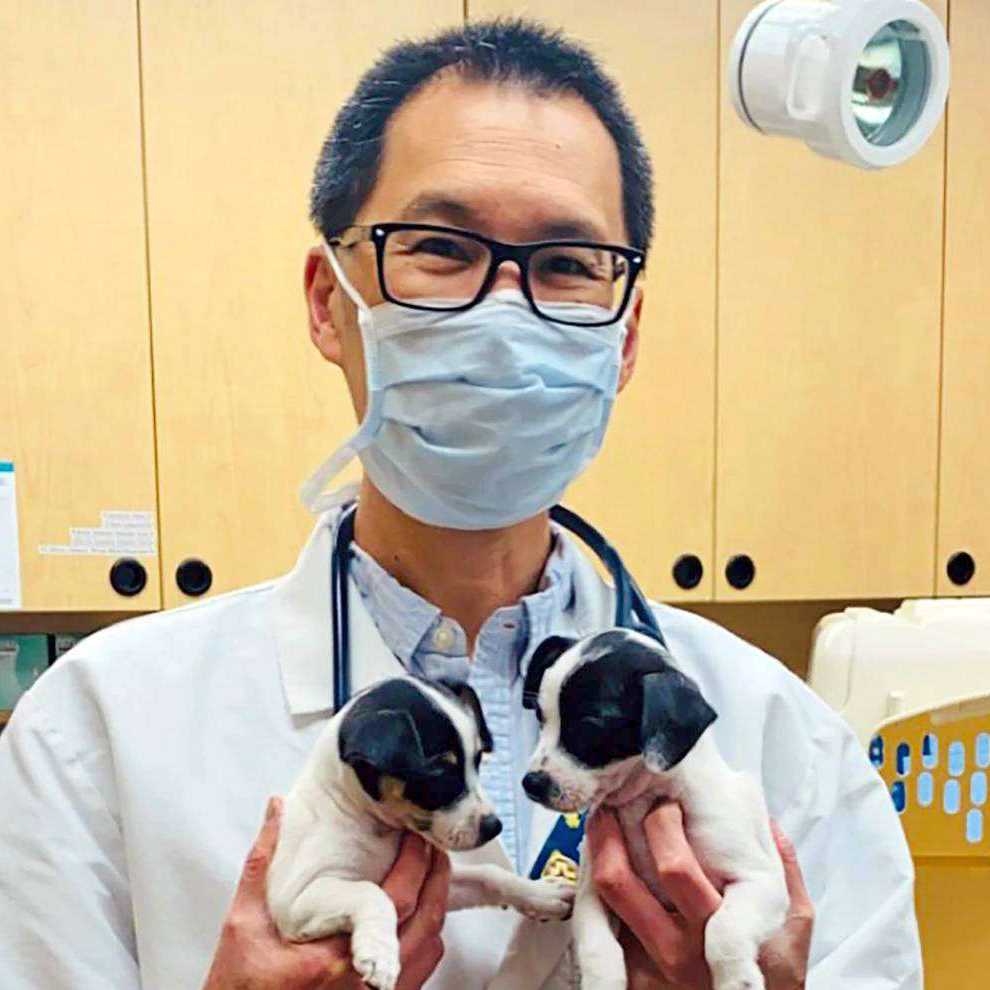 Profile picture of Darryl Jang, Veterinarian