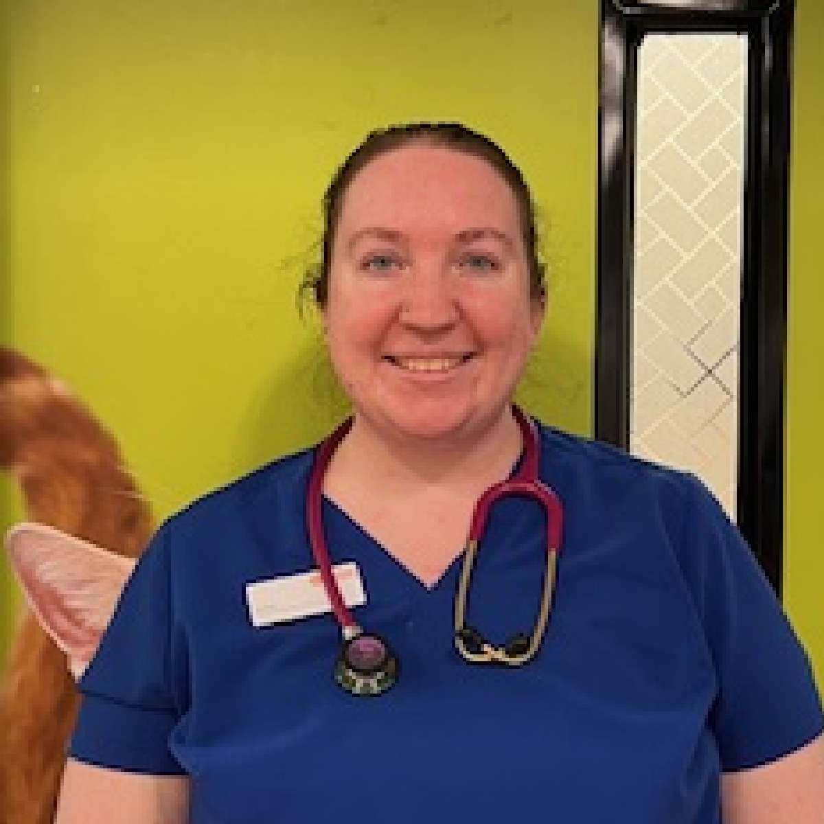 Profile picture of Alyssa Neuhoff, Registered Veterinary Technician