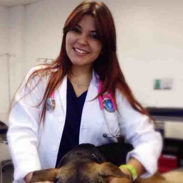 Profile picture of Carla Olivo, CTV, DVM, Veterinarian