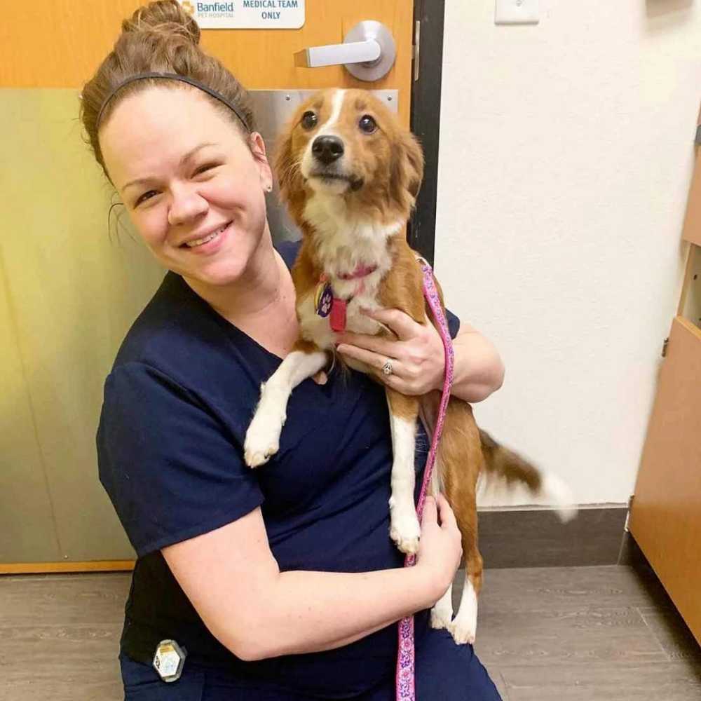 Profile picture of Colleen Roy, Veterinary Technician