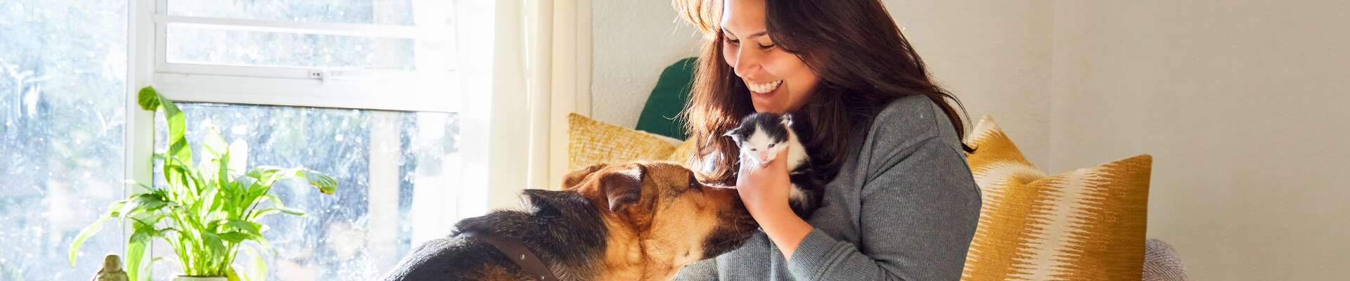 Smiling woman holding a kitten and petting a dog