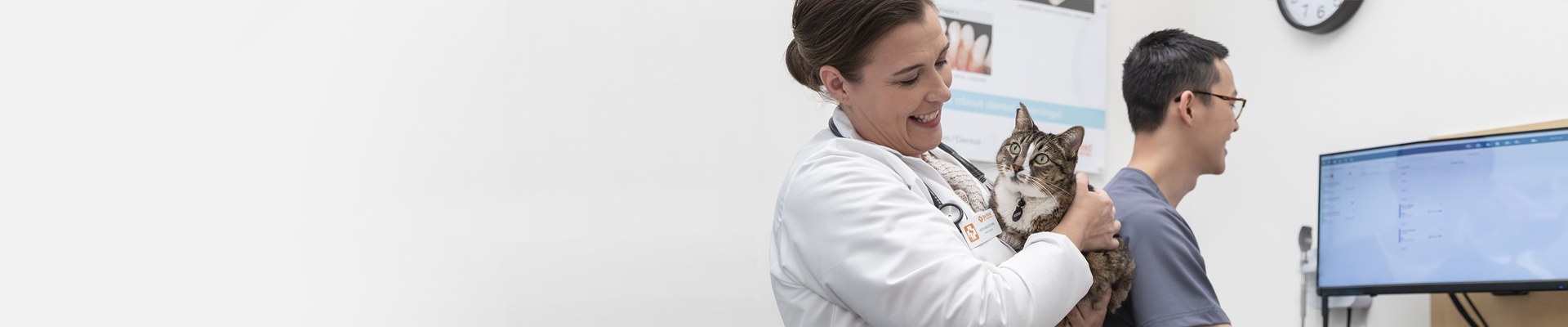 A veterinarian holds a cat while a vet assistant checks a record.