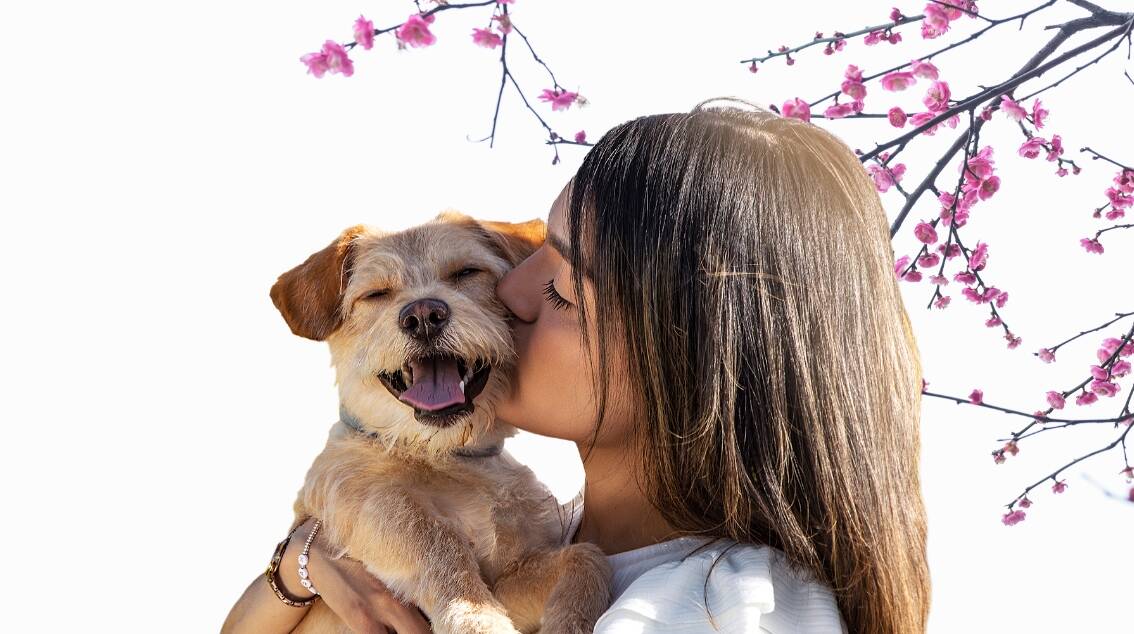 a woman kissing a dog