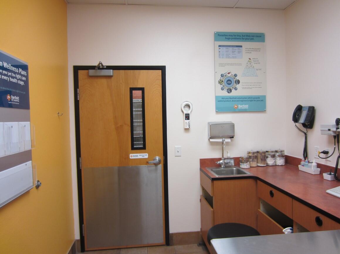 Banfield Pet Hospital: Queen Creek exam room