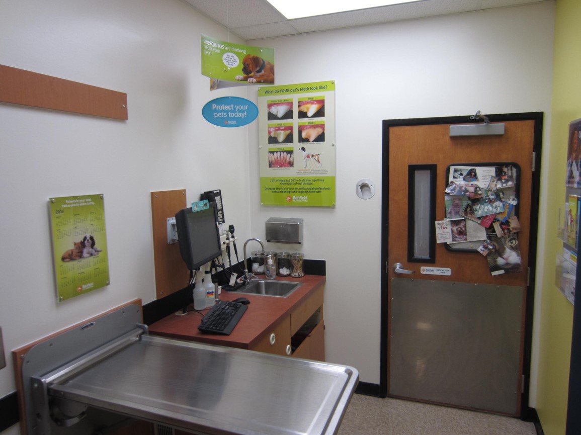 Inside of the exam room