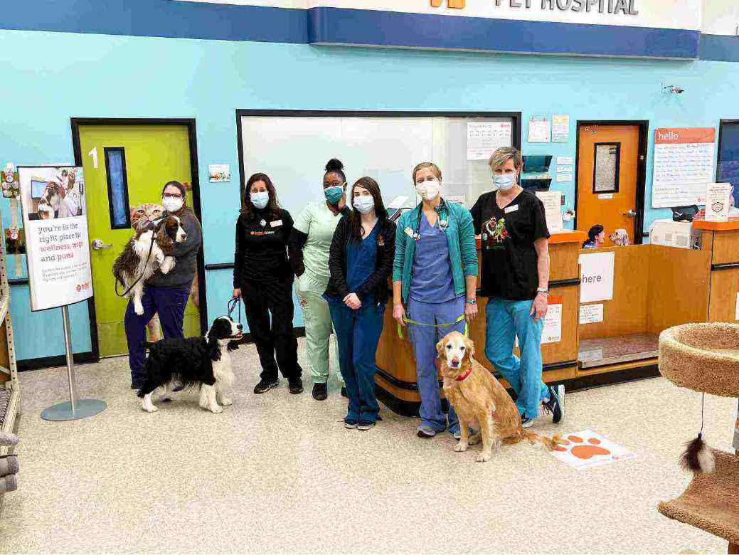 A group of Banfield Associates with a few dogs at the Banfield Pet Hospital