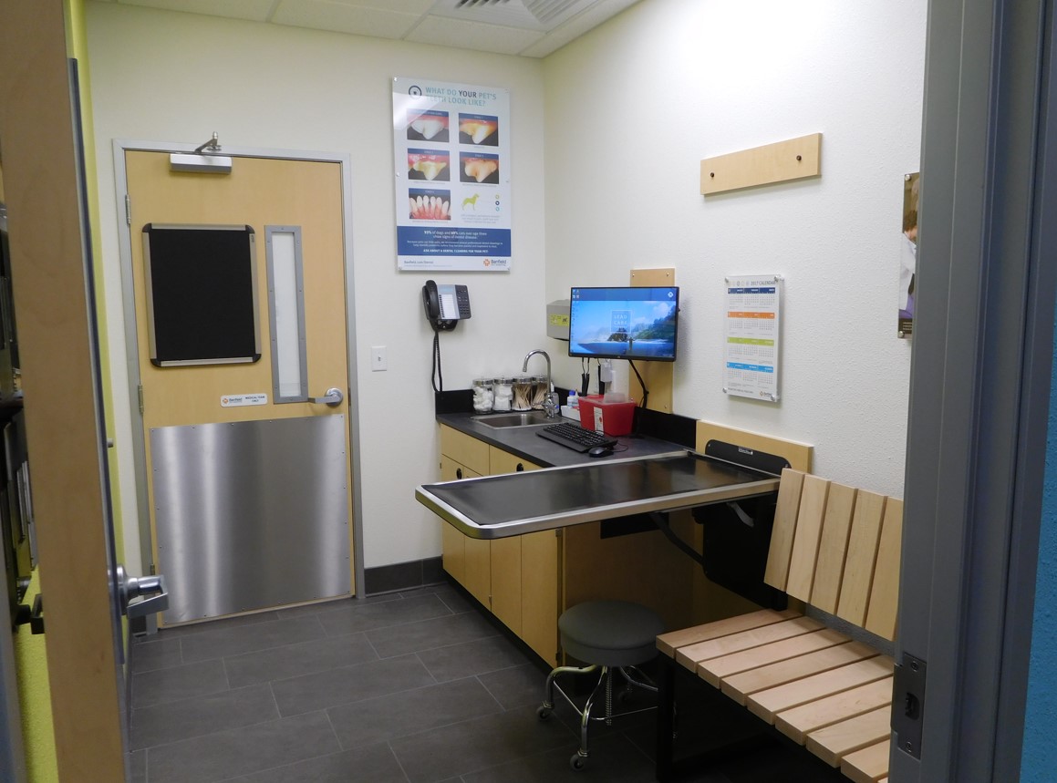 Orchards exam room shot