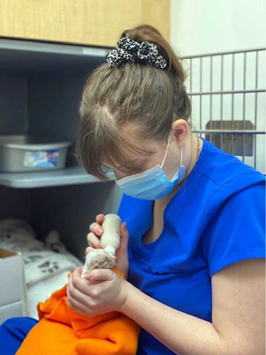 A young female veterinarian feeding a puppy at the Banfield Pet Hospital
