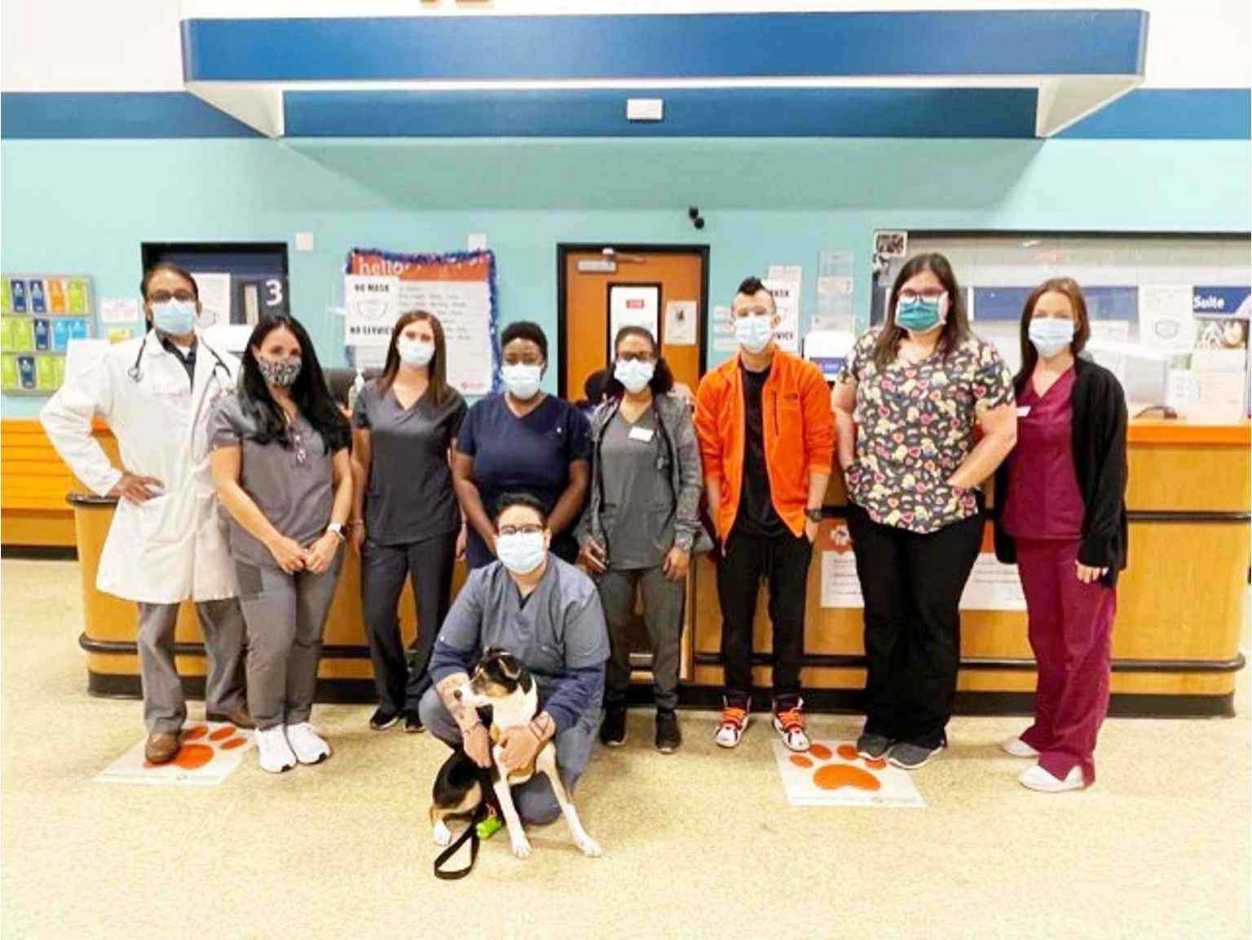 A group of Banfield Associates and a dog at the Banfield Pet Hospital